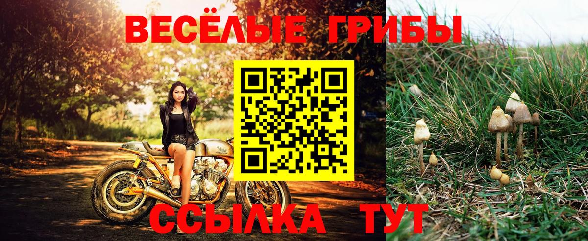 Меф Новосибирск
