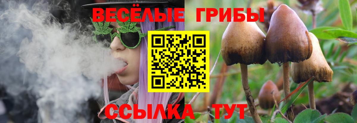 Новосибирск  Псилоцибиновые грибы мухоморы  Вход с VPN 